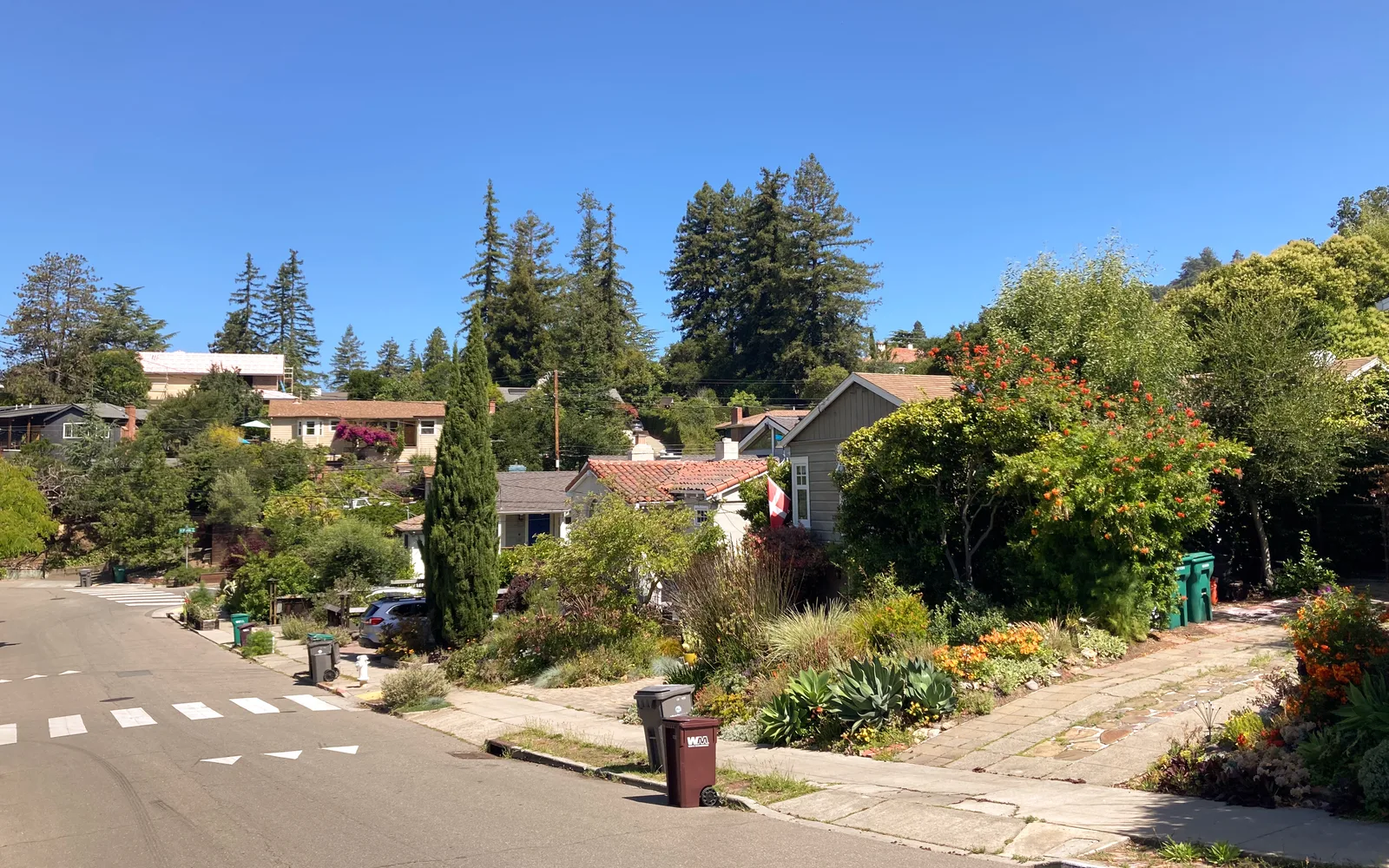 Oakland residential neighborhood with diverse housing styles